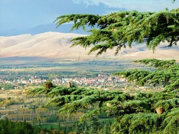 Şarkikaraağaç Yapı Malzemeleri Satışı – Hasan Bilgin Yapı Malzemeleri ile Kaliteli ve Uygun Fiyatlı Çözümler