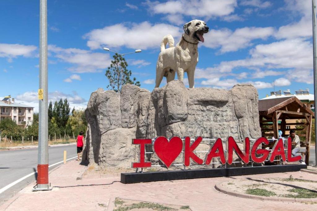 Kangal Yapı Malzemeleri ve İnşaat Çözümlerinde Güvenilir Adres: Hasan Bilgin Yapı Malzemeleri