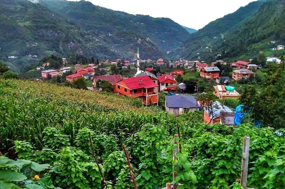 Trabzon Tonya’da Kaliteli Yapı Malzemeleri: Hasan Bilgin Yapı Malzemeleri