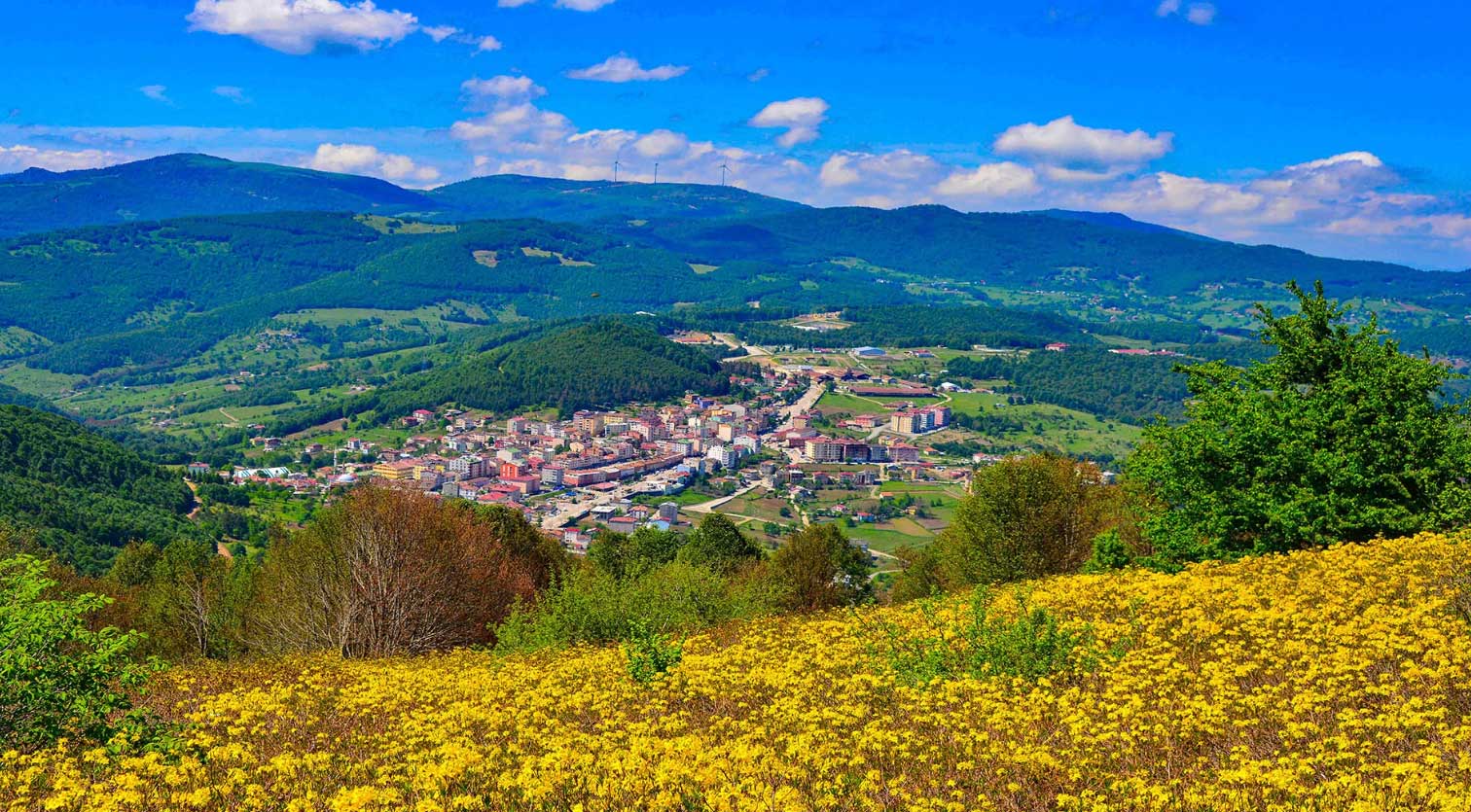 Ordu Akkuş Yapı Malzemeleri – Hasan Bilgin Yapı Malzemeleri ile Güvenli ve Kaliteli Çözümler